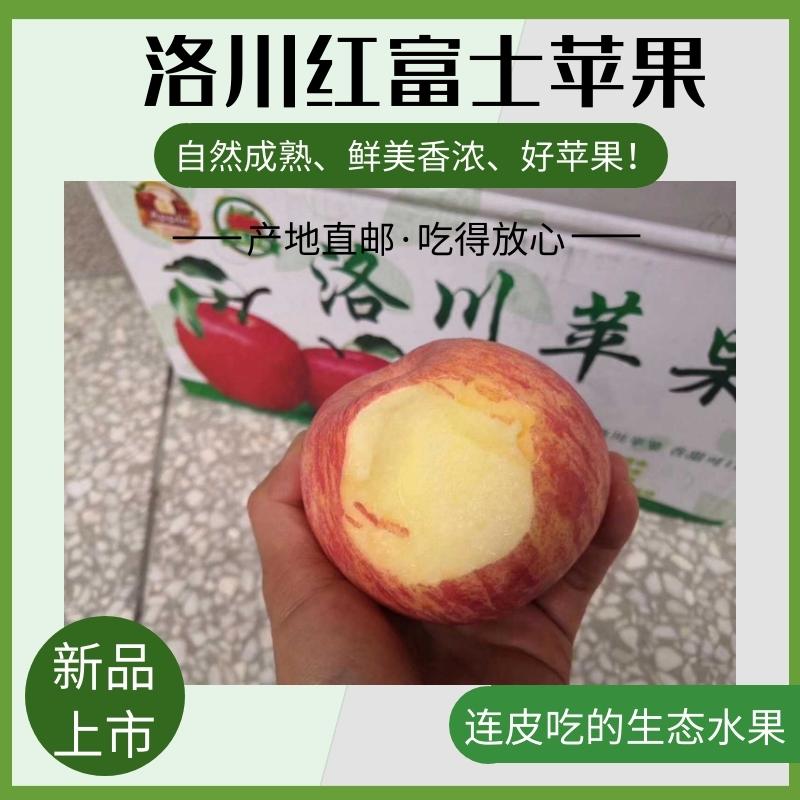包邮【3斤试吃装】洛川苹果冰糖心红富士苹果