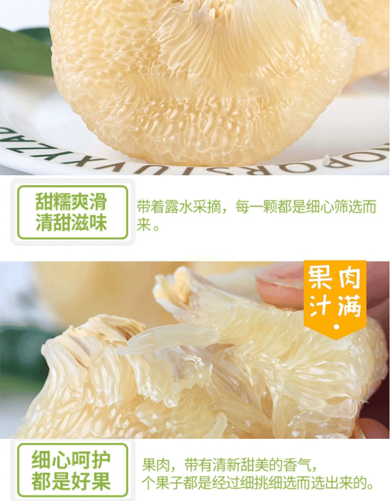 台州玉环文旦柚老树文旦柚子新鲜柚子水果5个大果