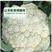 松花菜种子小米粒花球白球面圆整根系发达脆甜好吃耐运输