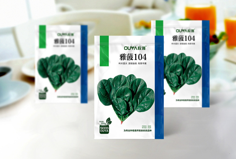 雅菠104菠菜种子耐抽苔耐热叶色深绿叶片圆叶面光滑