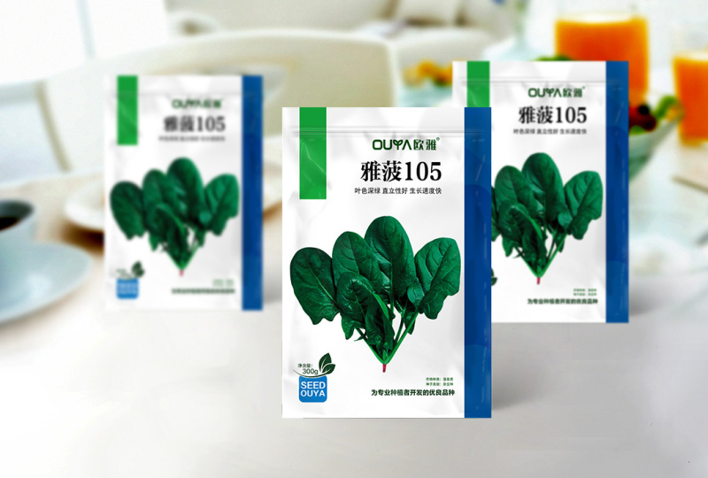 【厂家直销】菠菜种子长速快株型直立易捆扎