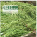 豇豆种子早熟荚条整齐前后期一致性好荚条嫩绿不鼓籽鼠尾少