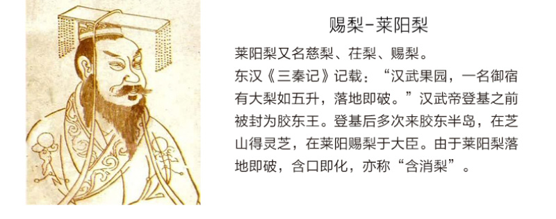 【一件代发】产地直发山东烟台莱阳特产正宗莱阳梨慈梨
