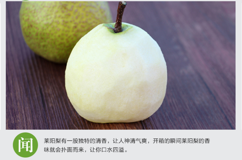 【一件代发】产地直发山东烟台莱阳特产正宗莱阳梨慈梨