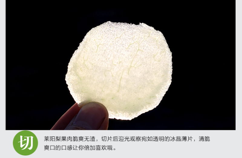 【一件代发】产地直发山东烟台莱阳特产正宗莱阳梨慈梨