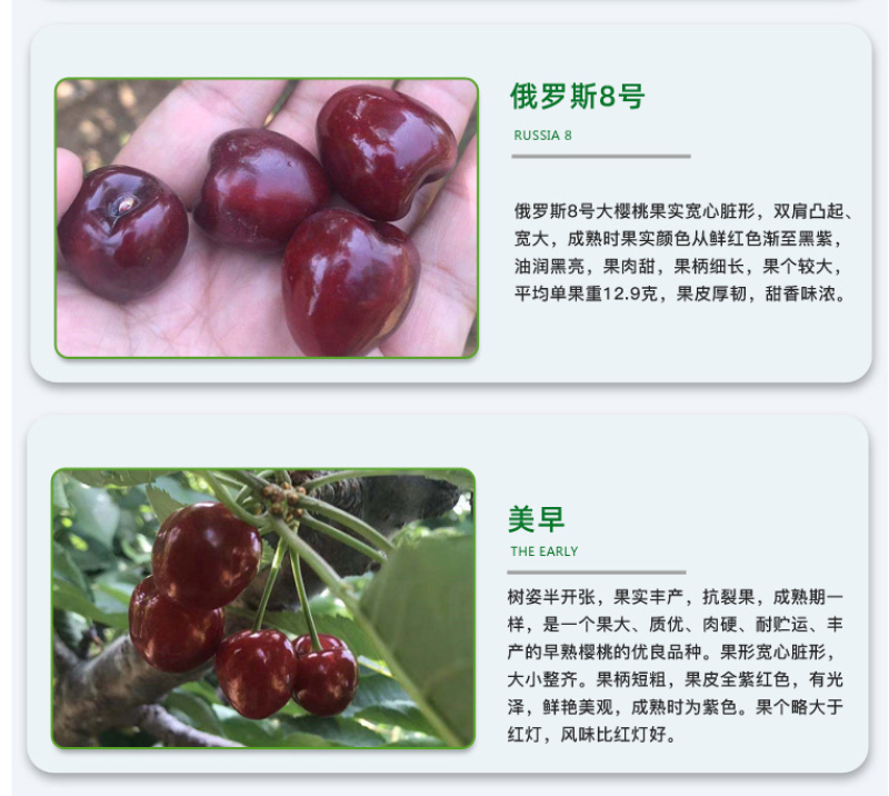基地直销包成活包技术