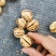 阿克苏185纸皮核桃2024年新货,量大优惠全国发货