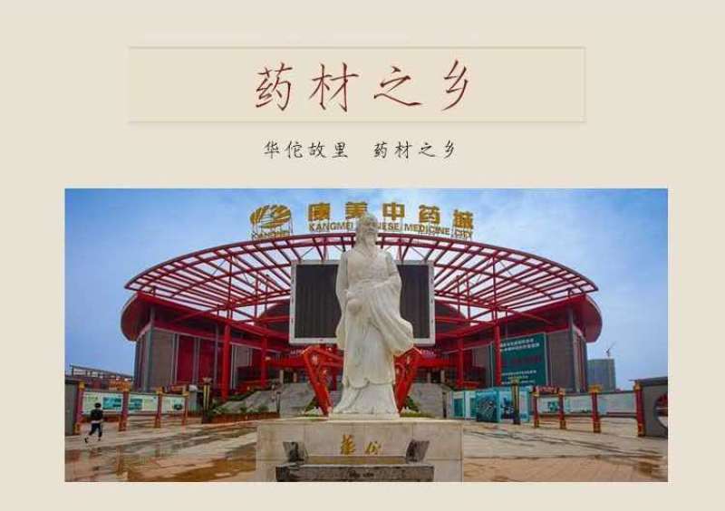 中药材生薏米正品保证量大从优