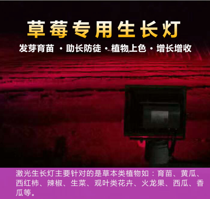红皎阳激光植物补光灯草莓补光灯草莓生长灯大棚补光