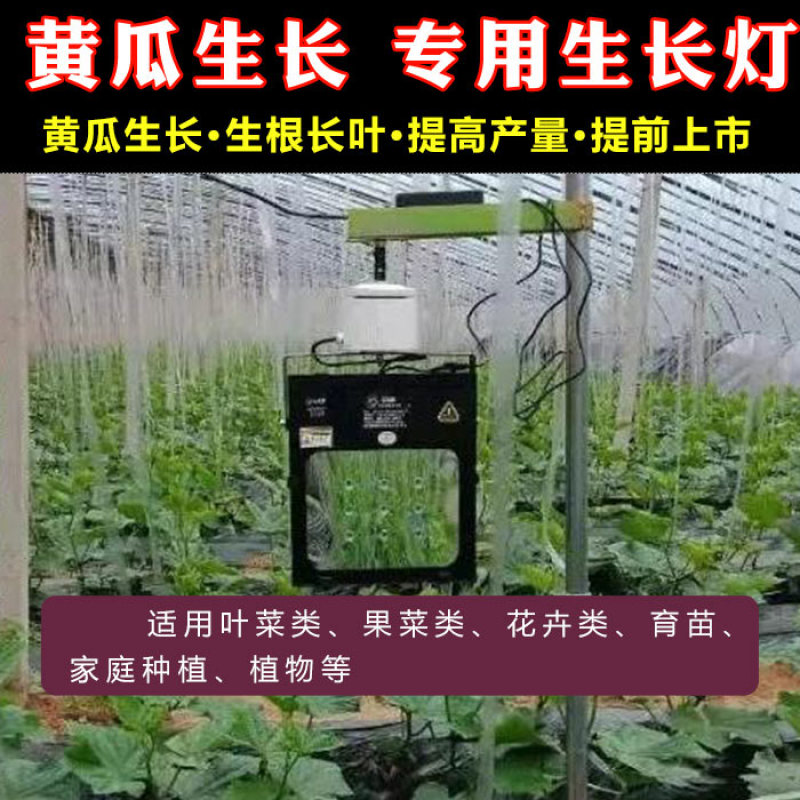 激光植物补光灯黄瓜补光灯西红柿补光灯大棚补光灯