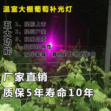 红皎阳激光植物补光灯大棚补光灯温室大棚葡萄专用补光灯包邮