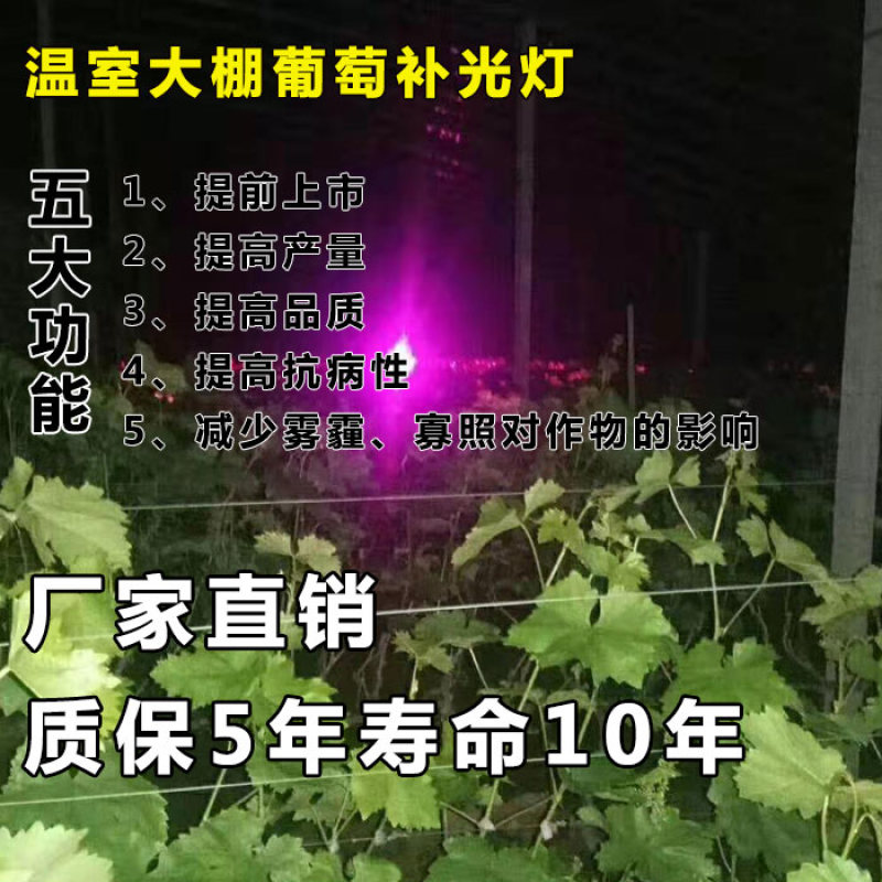 红皎阳激光植物补光灯大棚补光灯温室大棚葡萄专用补光灯包邮