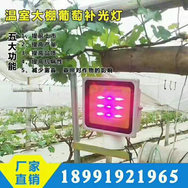 红皎阳激光植物补光灯大棚补光灯温室大棚葡萄专用补光灯包邮