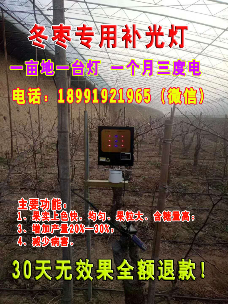 红皎阳激光植物补光灯大棚补光灯温室大棚葡萄专用补光灯包邮