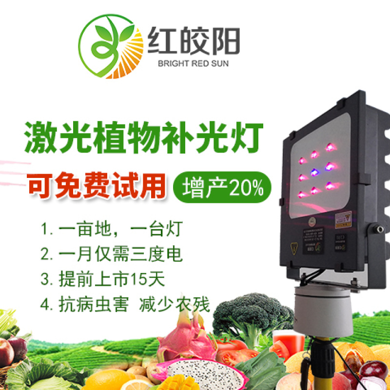 红皎阳激光植物补光灯大棚补光灯温室大棚葡萄专用补光灯包邮