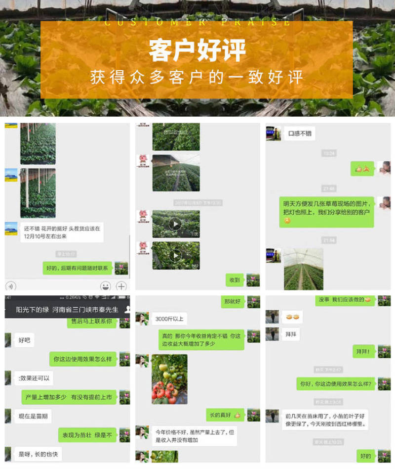 红皎阳激光植物补光灯大棚补光灯温室大棚葡萄专用补光灯包邮