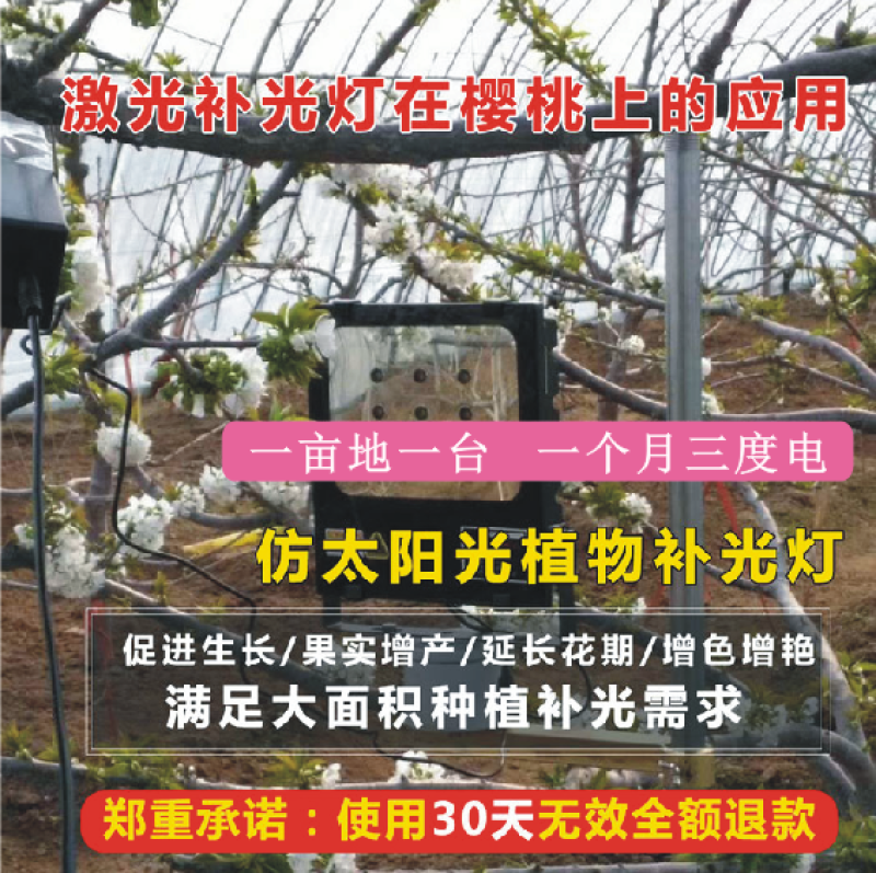 红皎阳激光植物补光灯大棚补光樱桃补光灯温室樱桃补光灯