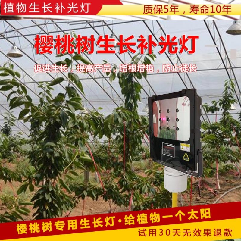 红皎阳激光植物补光灯大棚补光樱桃补光灯温室樱桃补光灯