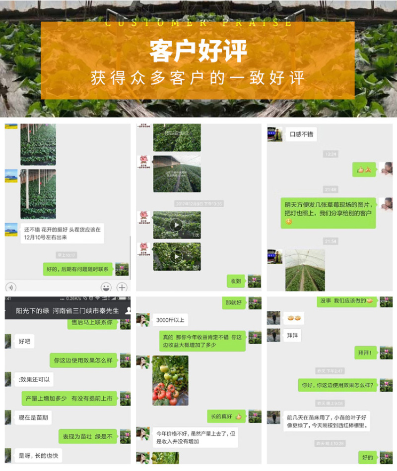 红皎阳激光植物补光灯大棚补光樱桃补光灯温室樱桃补光灯