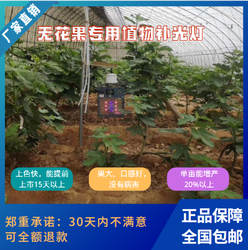 红皎阳激光植补光灯大棚补光灯生长灯无花果补光灯包邮