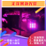 红皎阳激光植补光灯大棚补光灯生长灯无花果补光灯包邮
