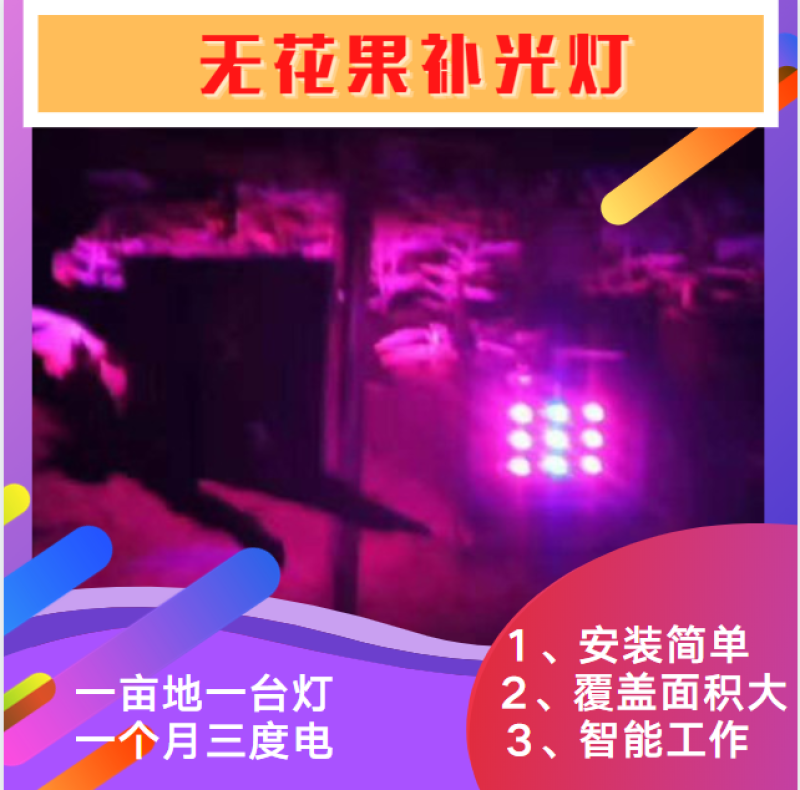 红皎阳激光植补光灯大棚补光灯生长灯无花果补光灯包邮