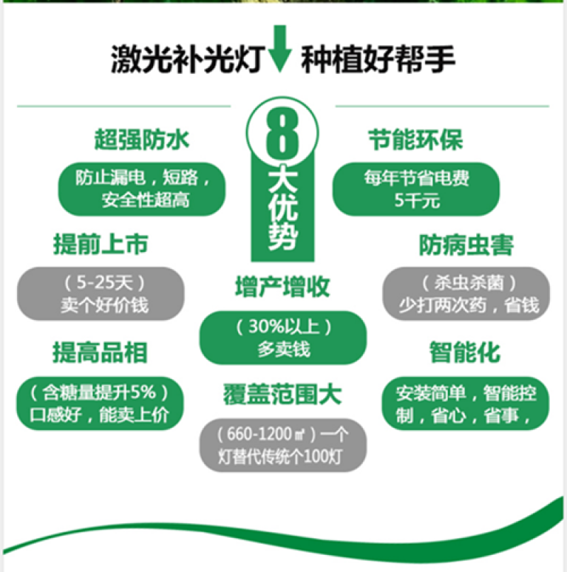 红皎阳激光植物补光灯生长灯油桃补光灯油桃大棚补光灯