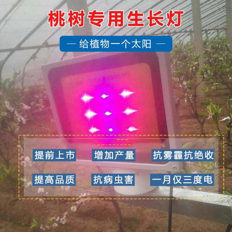 红皎阳激光植物补光灯生长灯油桃补光灯油桃大棚补光灯
