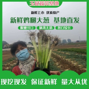 【牛商推荐】新鲜鸡腿大葱大量上市葱白高头大种植基地直发