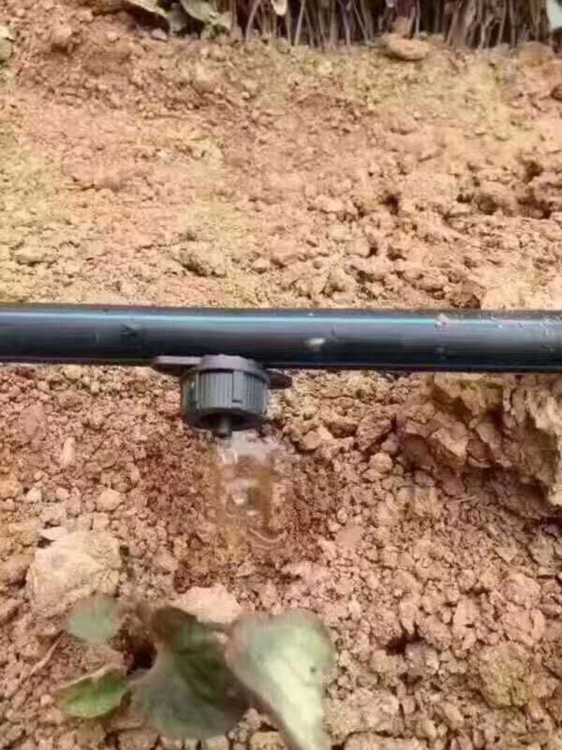 20pe水管4分6分1寸pe管5063pe盘管灌溉水管