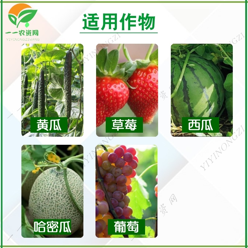 禾益粉创宁25%乙嘧酚磺酸酯黄瓜草莓葡萄白粉病克星杀菌