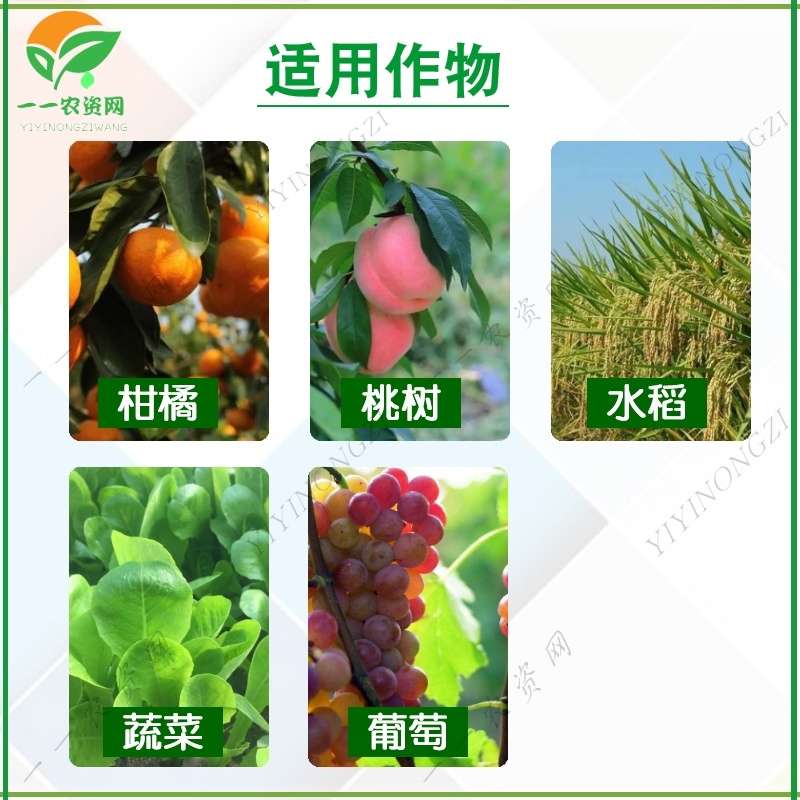 江西禾益20%松脂酸铜葡萄霜霉病炭疽病细菌性病害杀菌剂