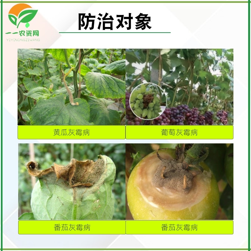 禾益20%嘧霉胺黄瓜葡萄番茄灰霉病保护杀菌剂