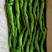 【精品】辣椒鲜辣椒螺丝椒产地直发质保价优欢迎咨询