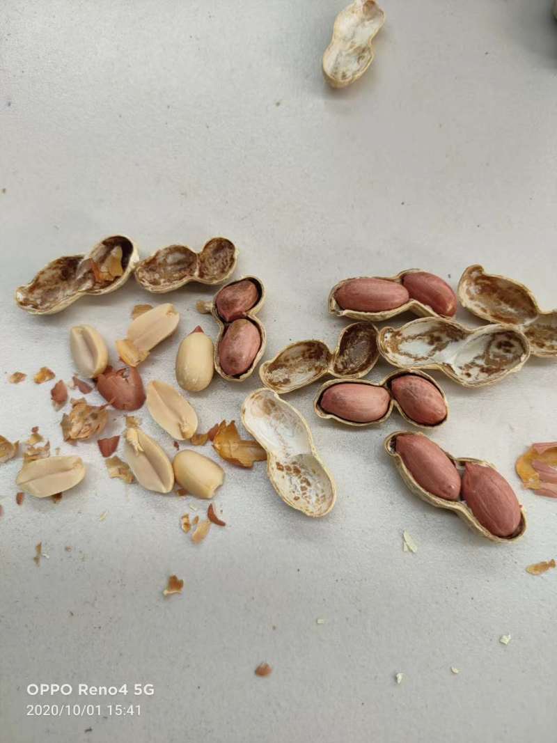 【新货上市】天府三炒花生口感脆香颗粒饱满量大从优