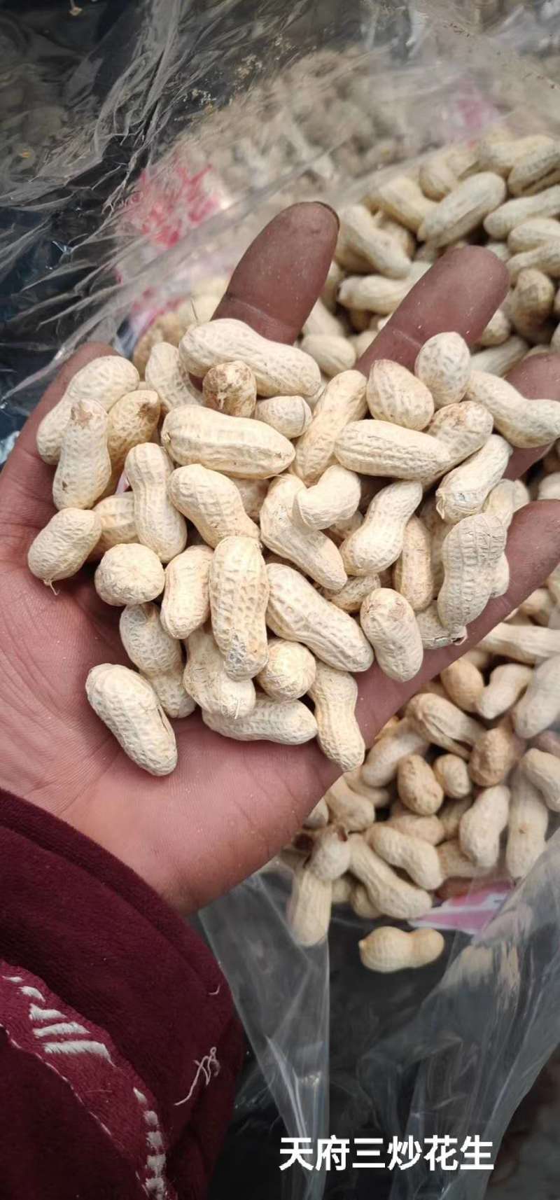 【新货上市】天府三炒花生口感脆香颗粒饱满量大从优