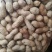 【新货上市】天府三炒花生口感脆香颗粒饱满量大从优