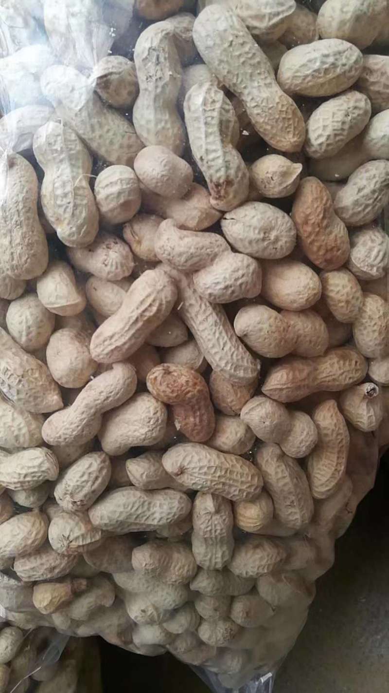 【新货上市】天府三炒花生口感脆香颗粒饱满量大从优