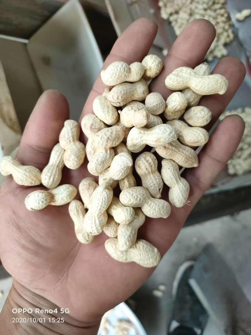【新货上市】天府三炒花生口感脆香颗粒饱满量大从优