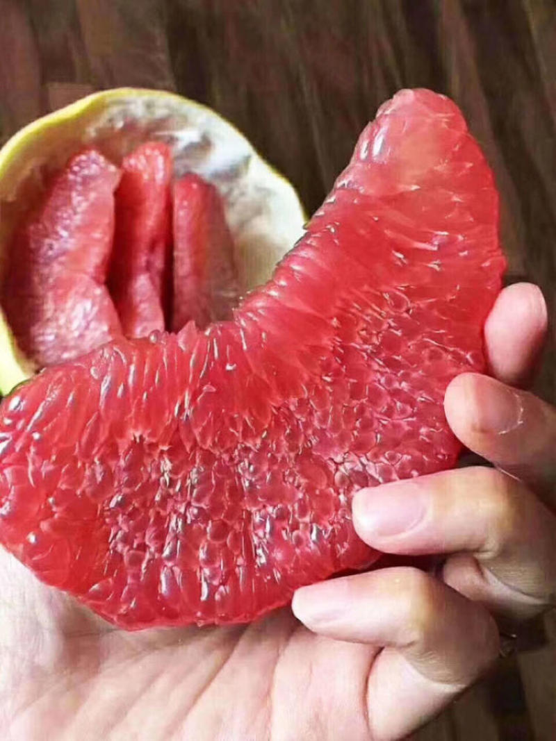 【琯溪蜜柚】蜜柚湖北直发对接电商市场货源充足视频拿货