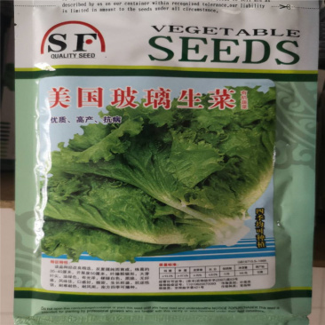 美国玻璃生菜种子籽高产速生四季蔬菜种子易种阳台菜
