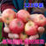 特产123果树苗沙果苗小苹果树苗果苗南北方种植海棠