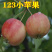 特产123果树苗沙果苗小苹果树苗果苗南北方种植海棠