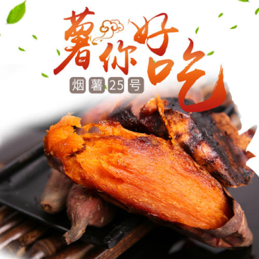 【精品地瓜】烟薯25，高糖度，支持一件代发，团购落地配！
