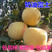 维纳斯黄金苹果树苗乔化地栽黄金奶油矮化富士南方北方种植盆
