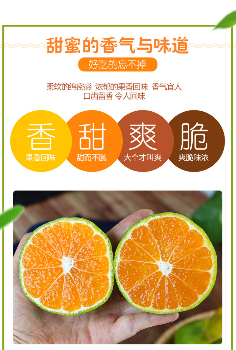 【柑桔】襄阳蜜橘薄皮汁多水分足产价格可谈全国发货