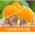 【柑桔】襄阳蜜橘薄皮汁多水分足产价格可谈全国发货