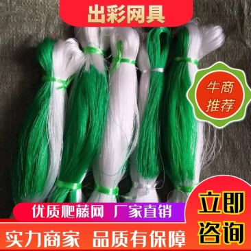 园艺植物加粗九股爬藤网瓜果吊瓜蒜黄菊花种植方格网粗攀爬网