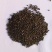 四季常青爬墙虎种子室内爬藤植物种子庭院攀援花卉种子爬山虎