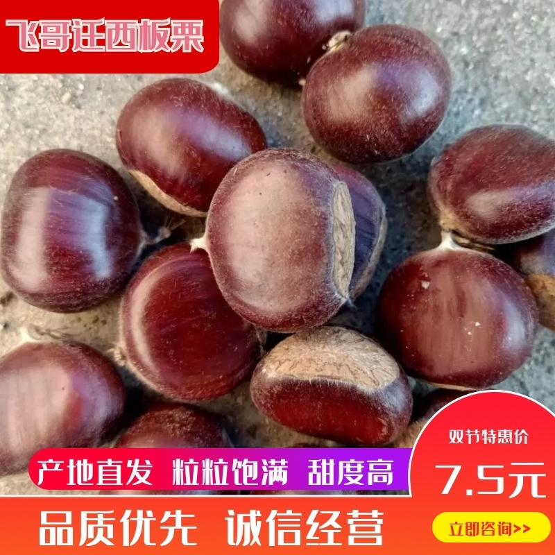 【牛商推荐】正宗迁西板栗糖炒板栗优选甜度高品质好
